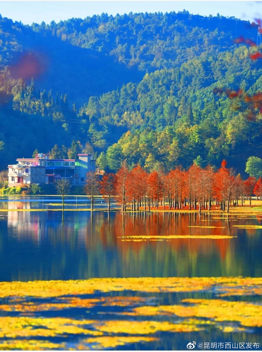 “昆明市西山区发布”微博