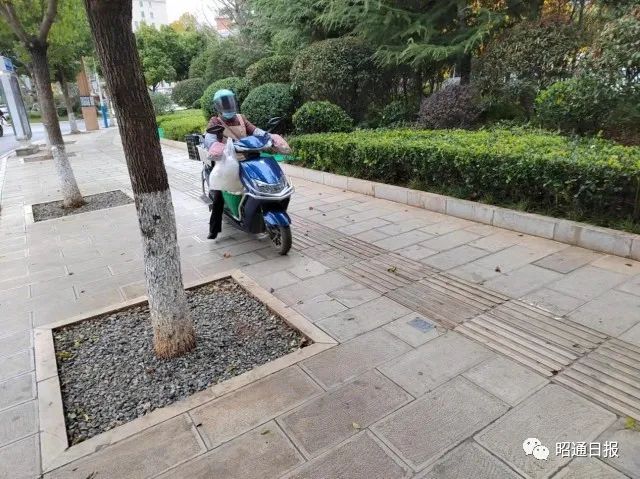 昭通日报
