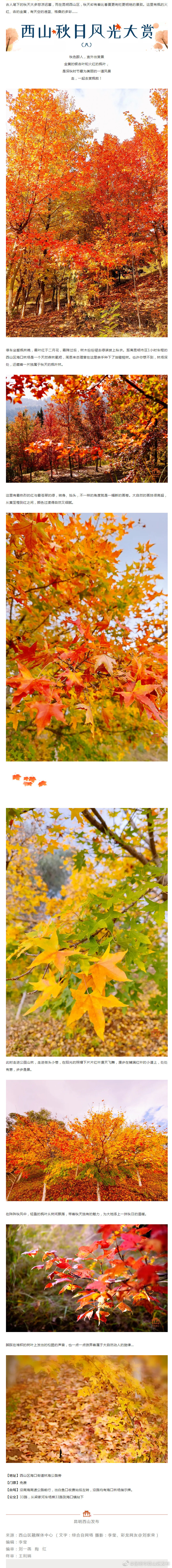 “昆明市西山区发布”微博