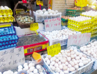 鸡蛋价格不淡定？ 莫慌，昆明市场供应充足