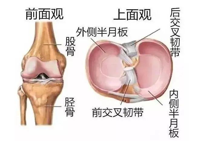 云南省中医医院