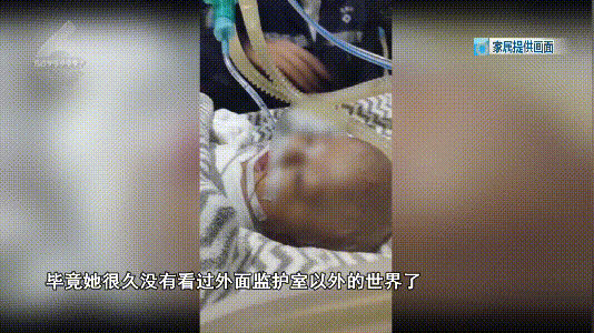 春城晚报