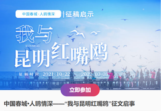 昆明信息港