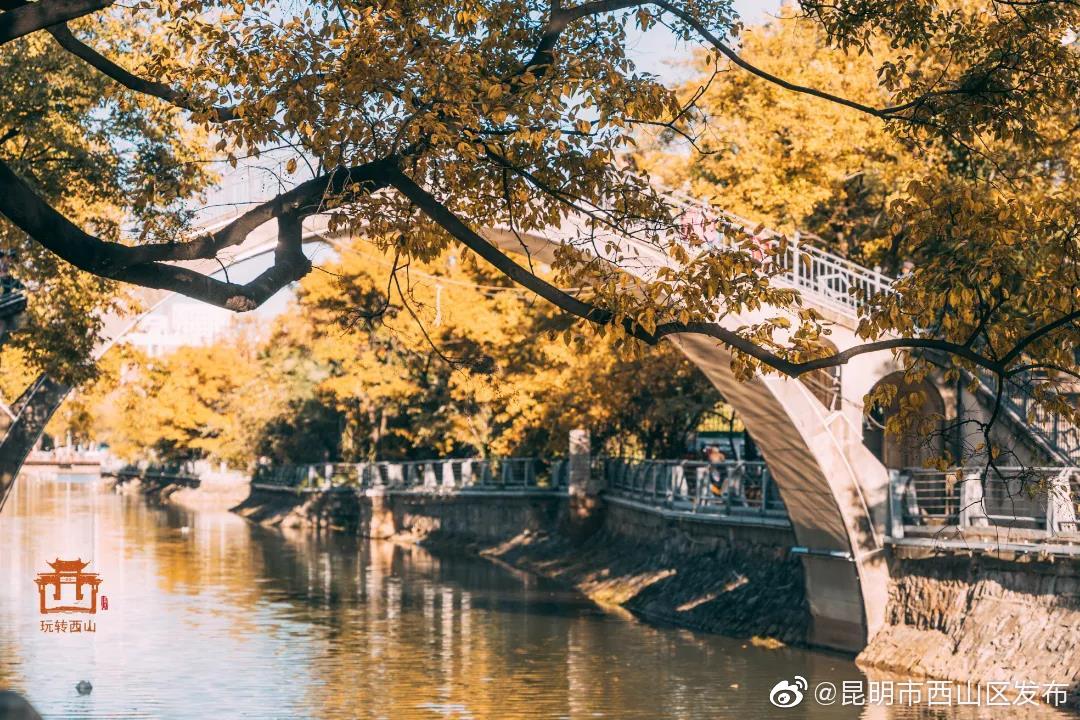 “昆明市西山区发布”微博