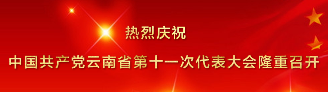 丽江新闻