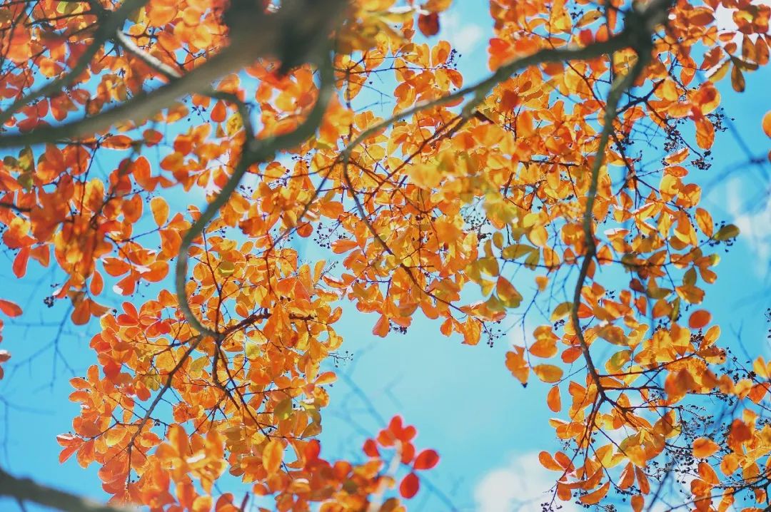 昆明市金殿名胜区