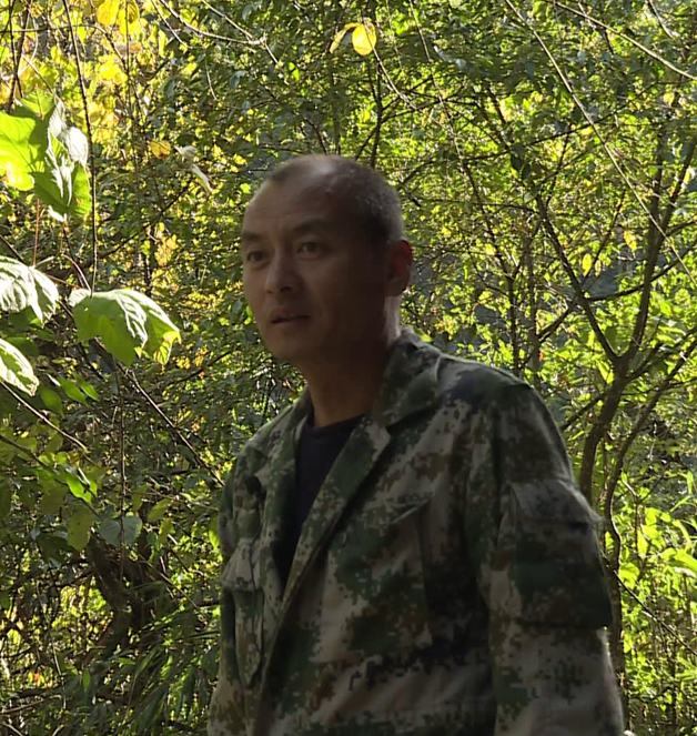 大理电视台