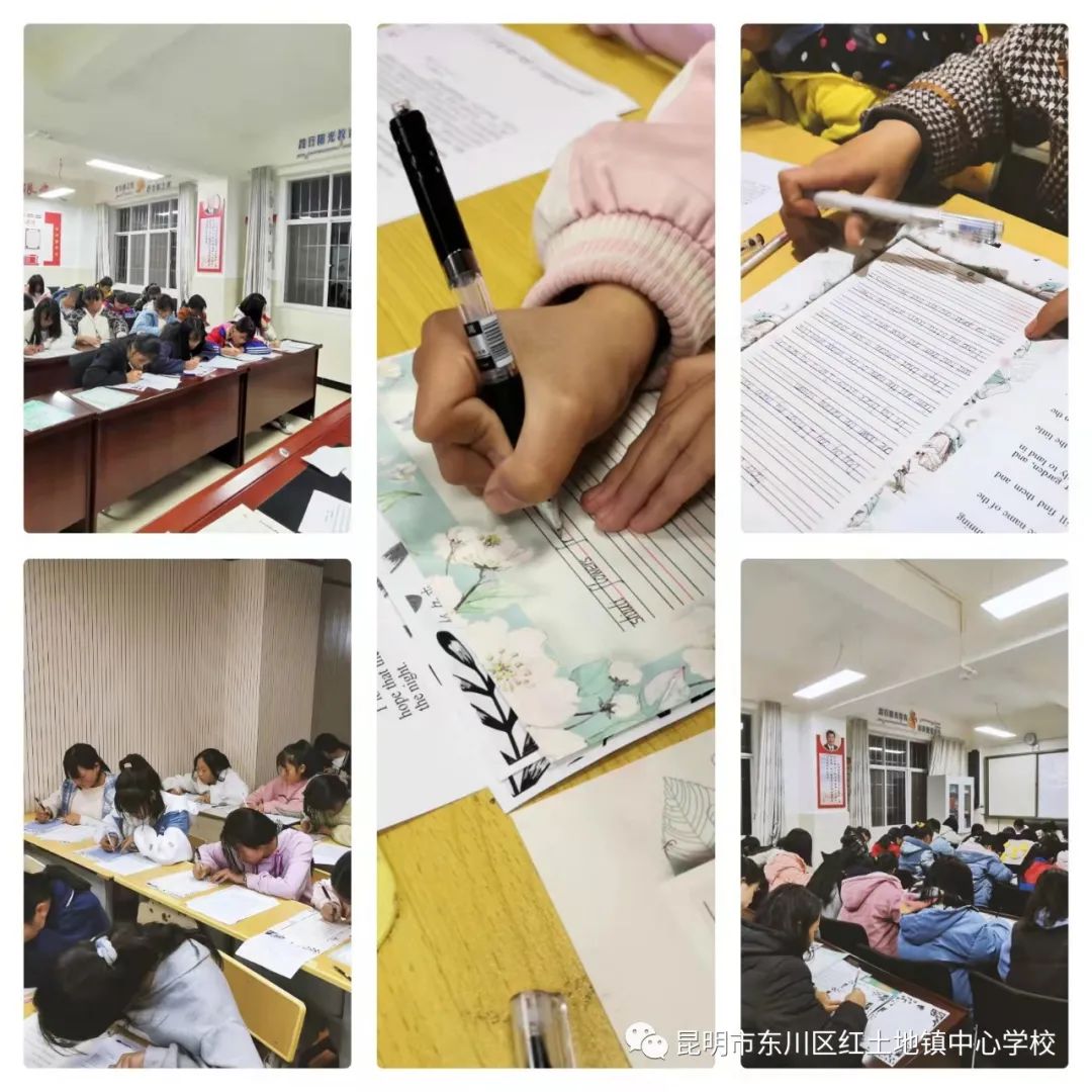 东川教育(微信)