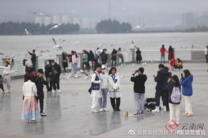 “昆明经济技术开发区管委会”微博
