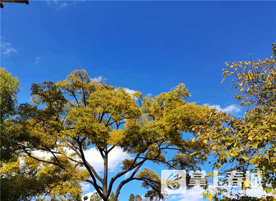 掌上春城