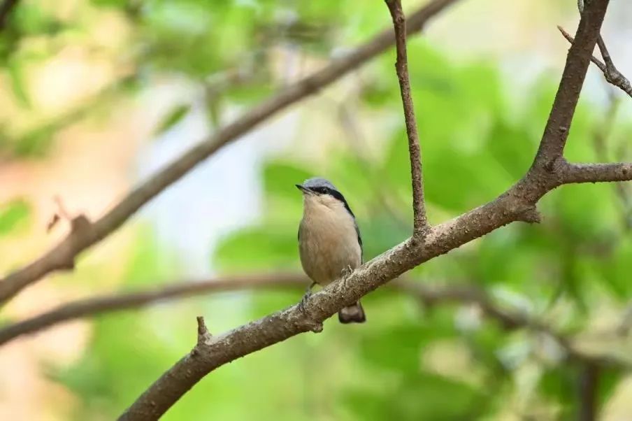 昆明市金殿名胜区