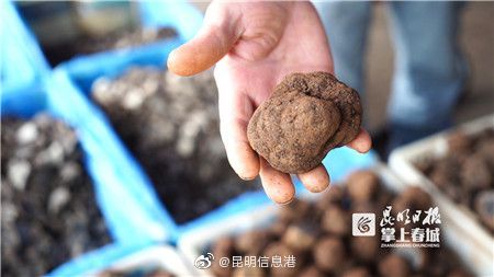 昆明信息港
