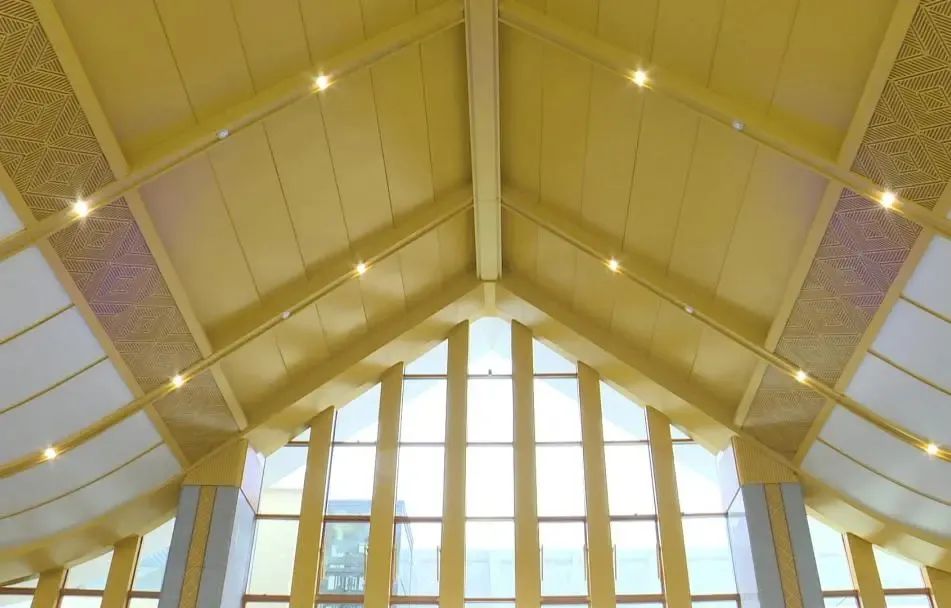 西双版纳望天树景区