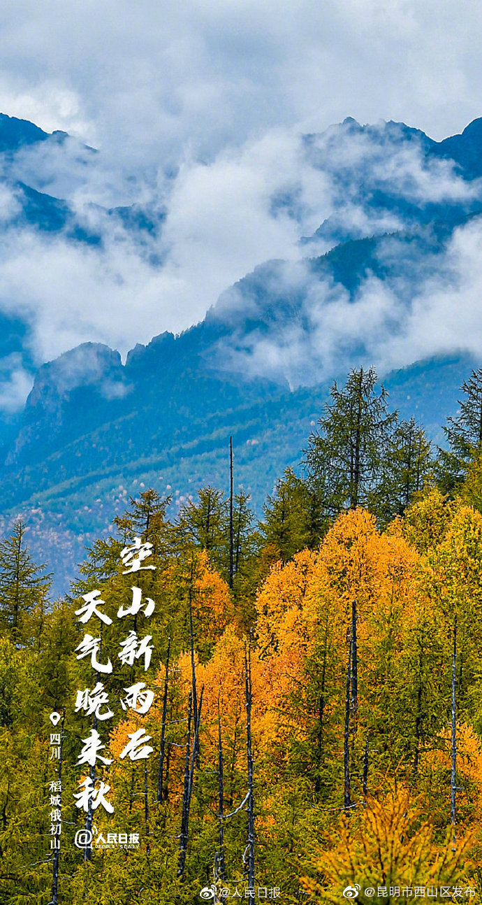 “昆明市西山区发布”微博