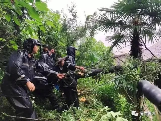 云南警方