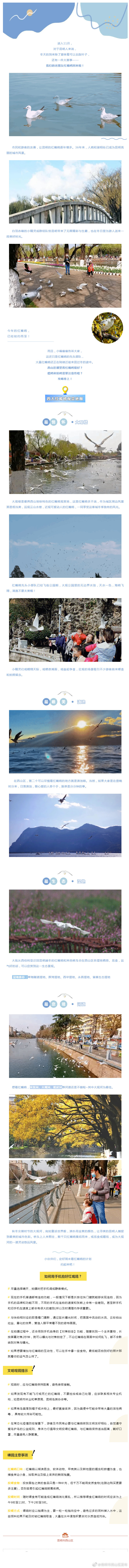 “昆明市西山区发布”微博