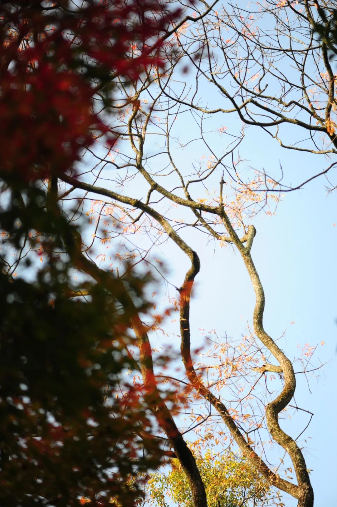 昆明市金殿名胜区