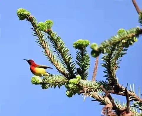 昆明市金殿名胜区