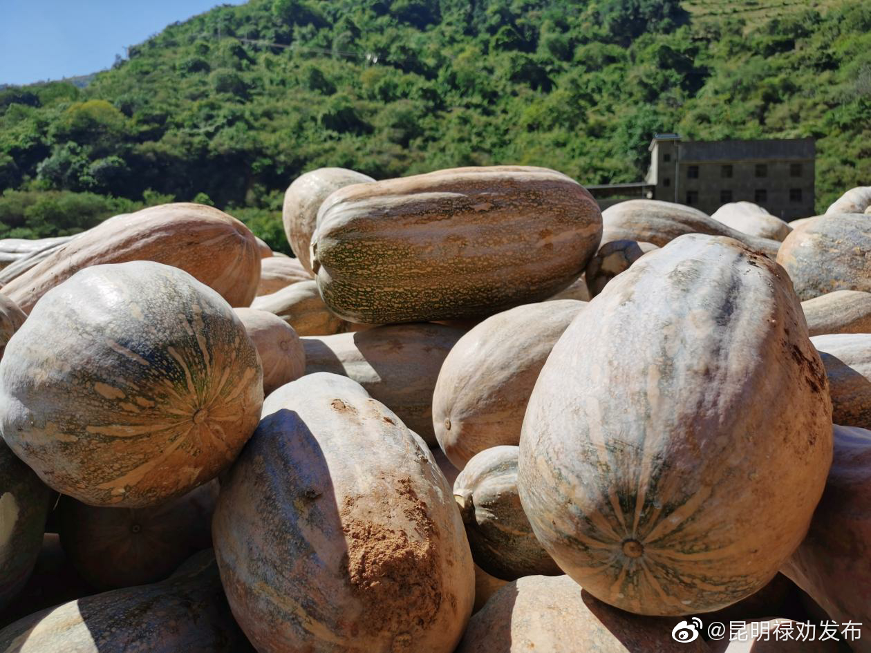 昆明禄劝发布