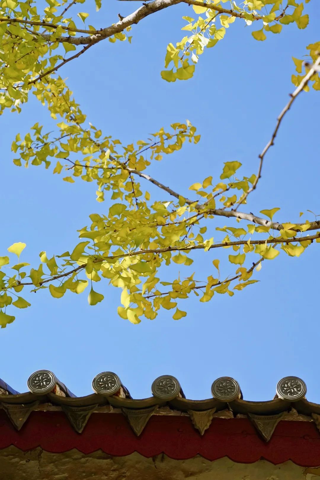红河文旅