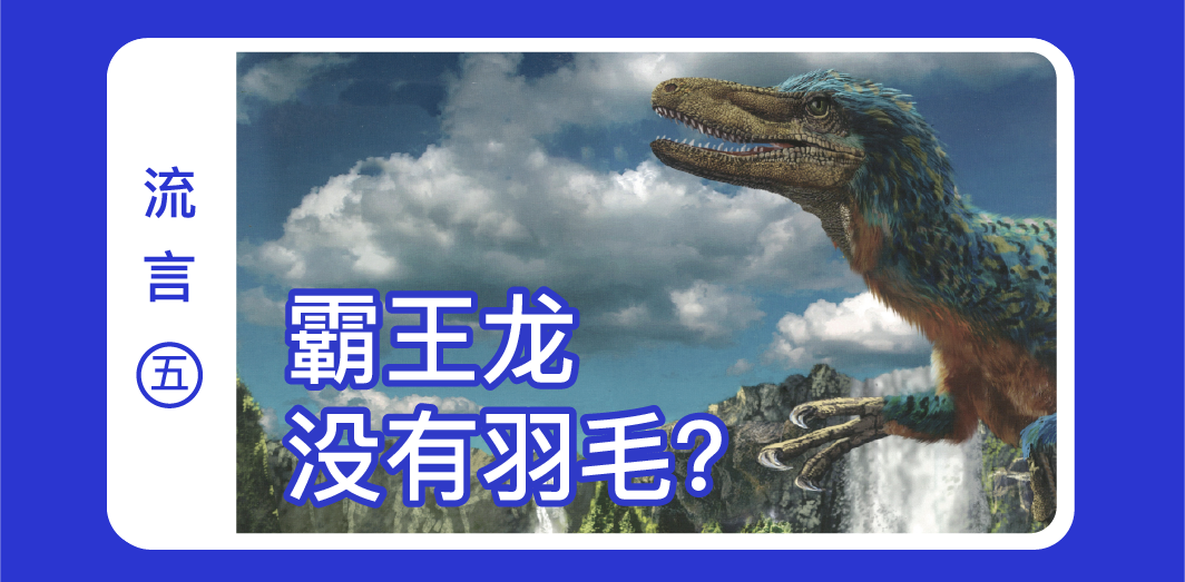 盘龙共青团(微信)