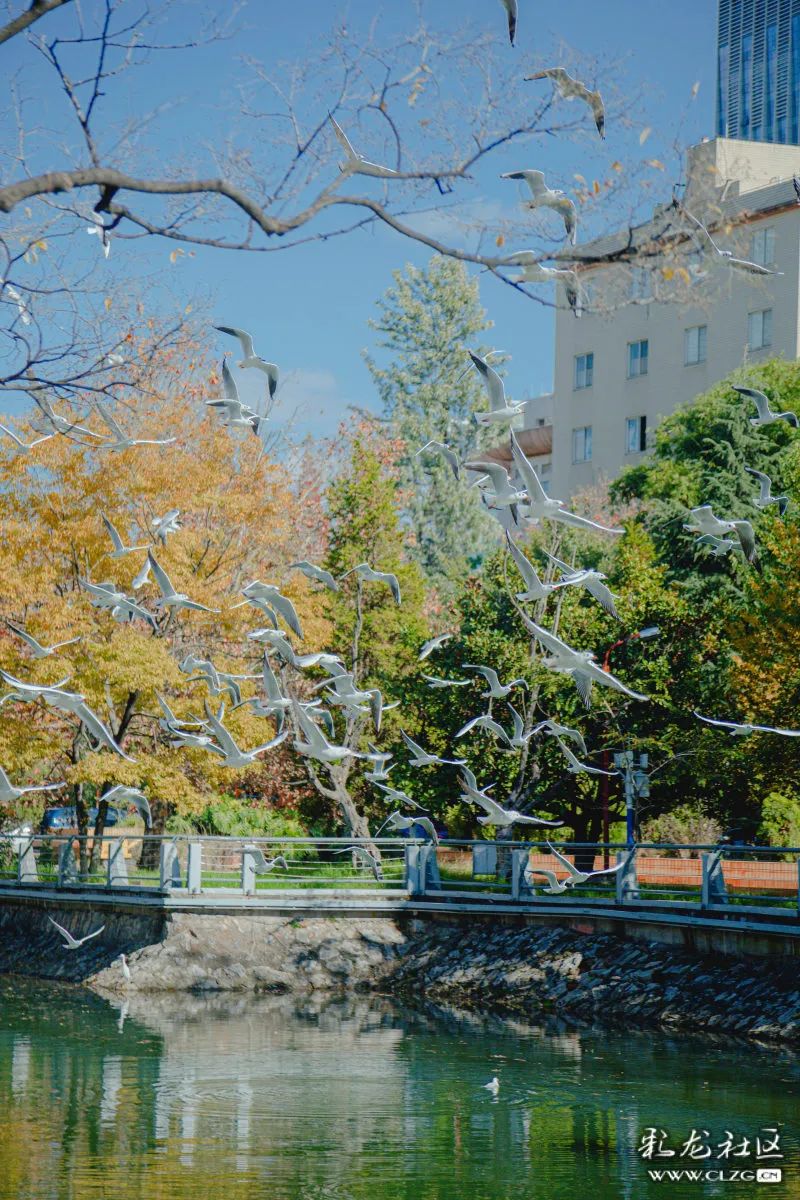 昆明信息港/cnkmxxg