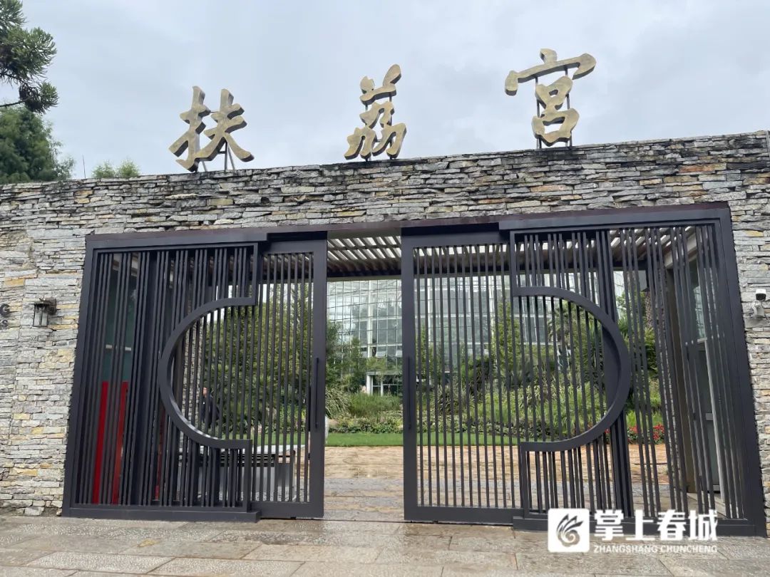 掌上春城