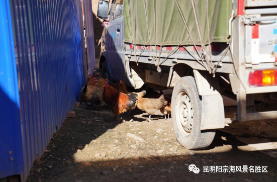 昆明阳宗海风景名胜区(微信)