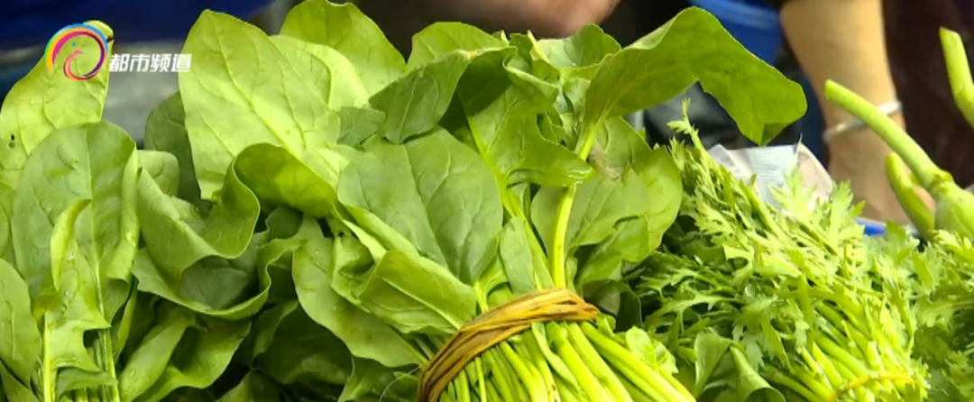昆明信息港