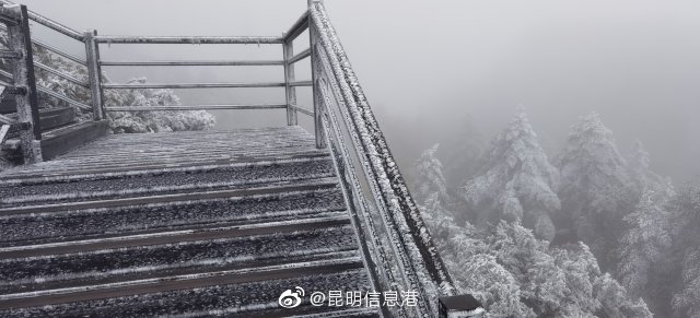 昆明信息港