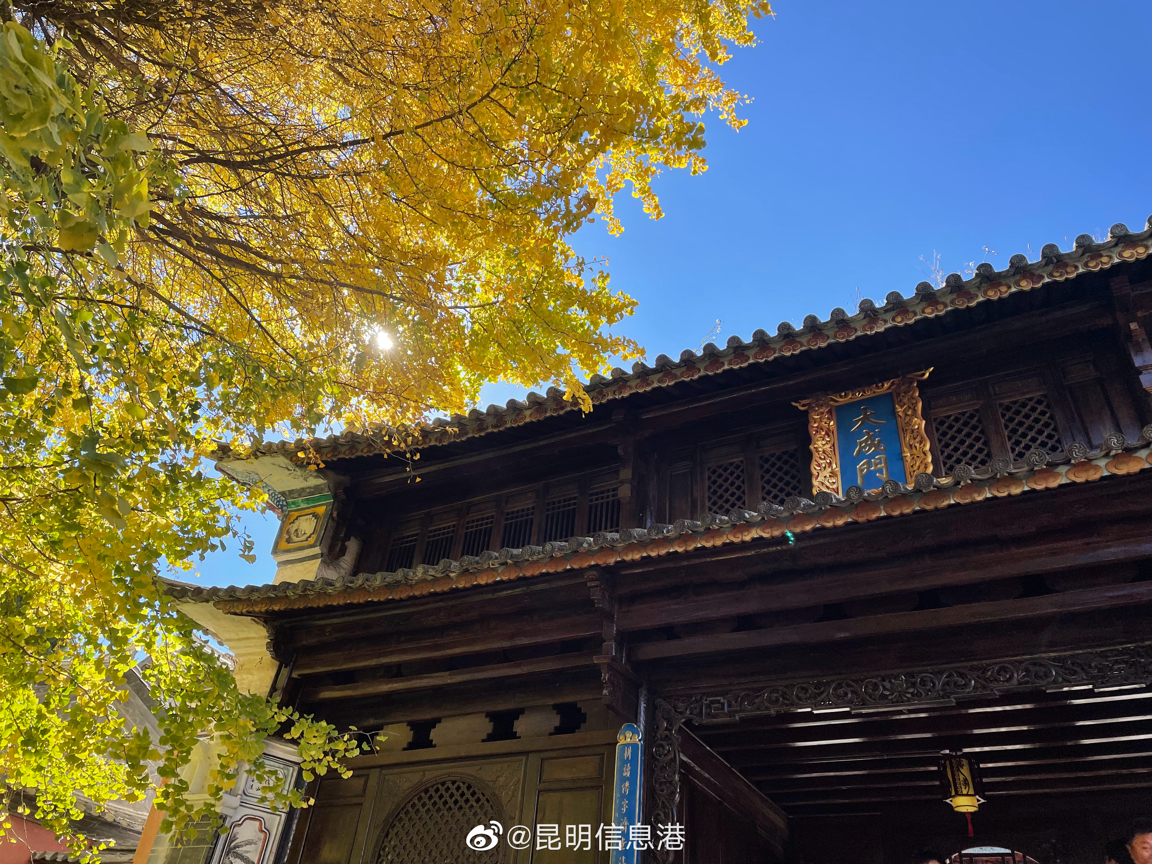 昆明信息港