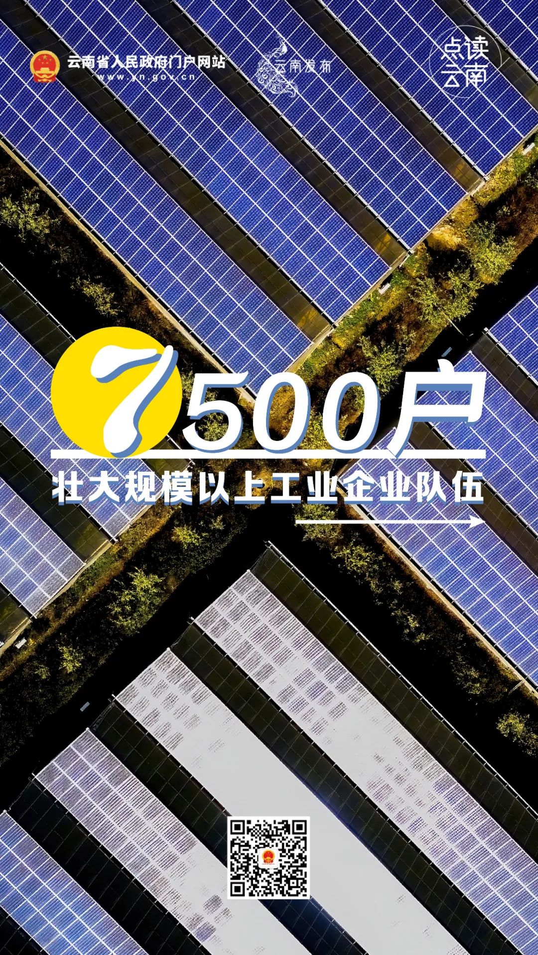 云南省人民政府网