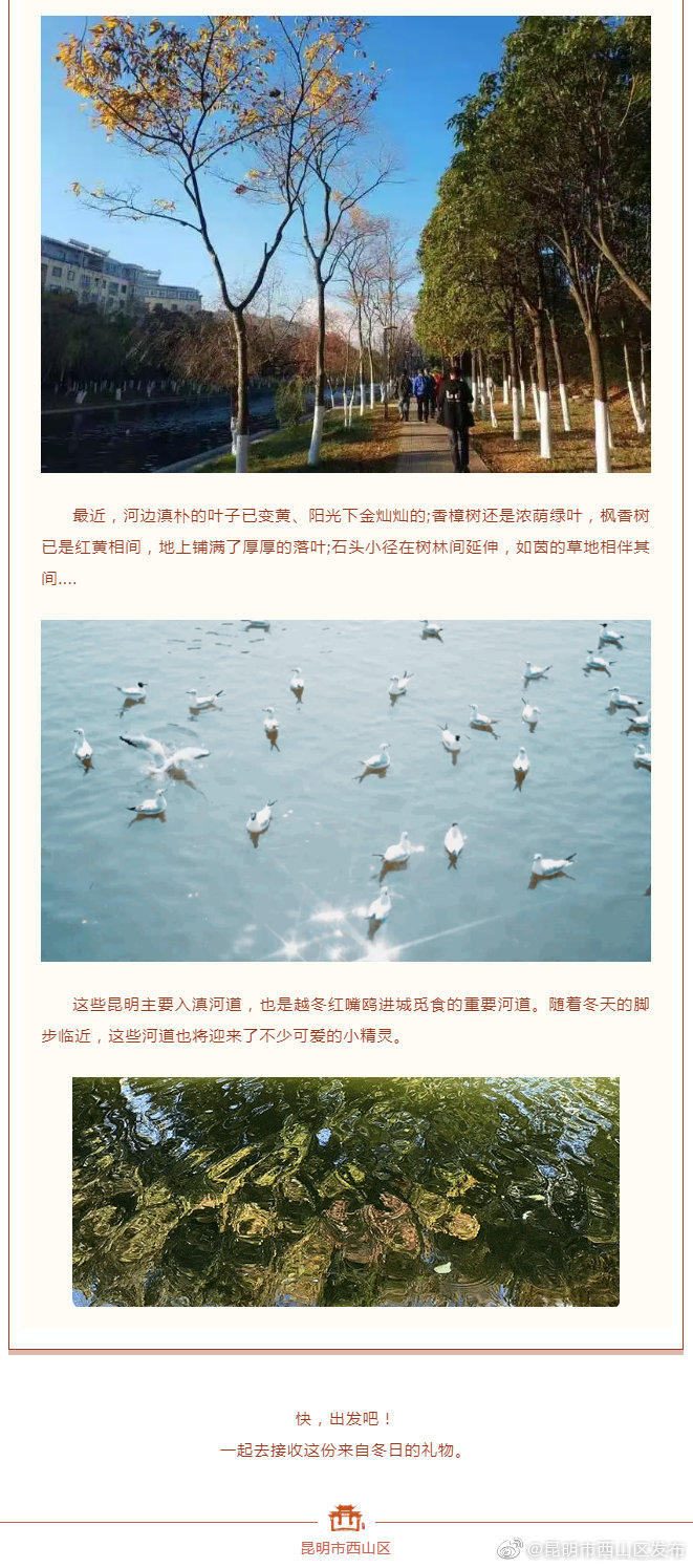 “昆明市西山区发布”微博