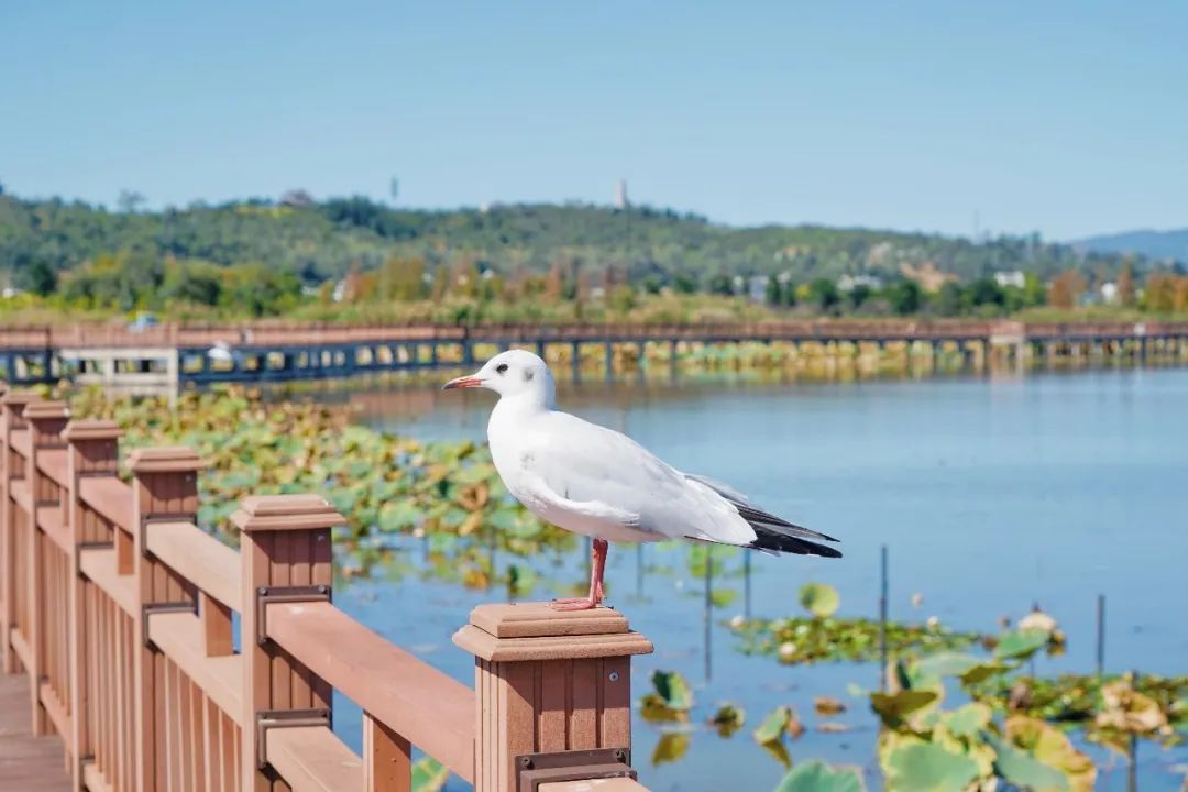 红河文旅