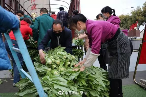 昆明信息港