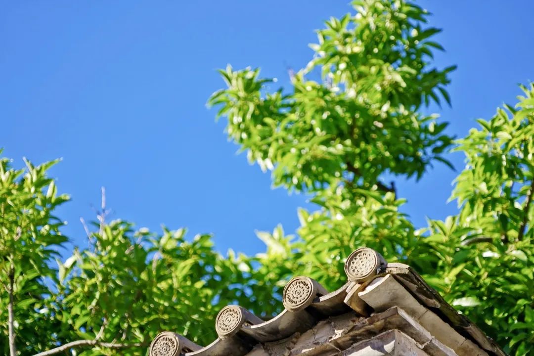 红河文旅
