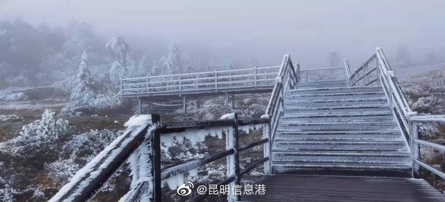 昆明信息港