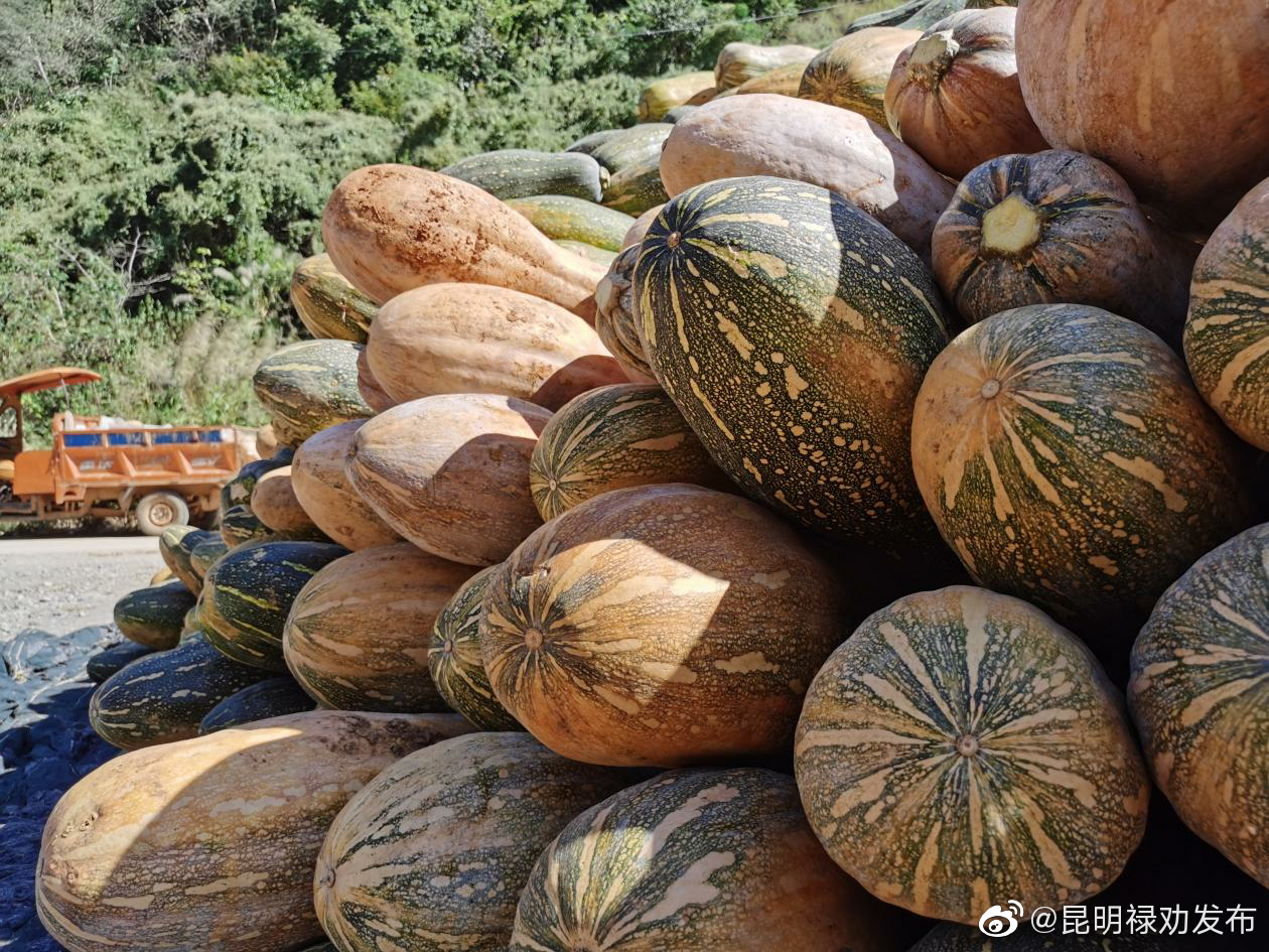 昆明禄劝发布