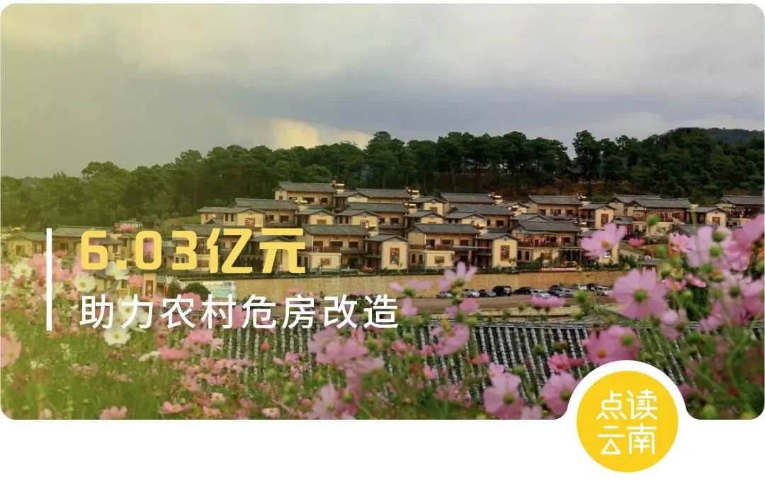 云南省人民政府网