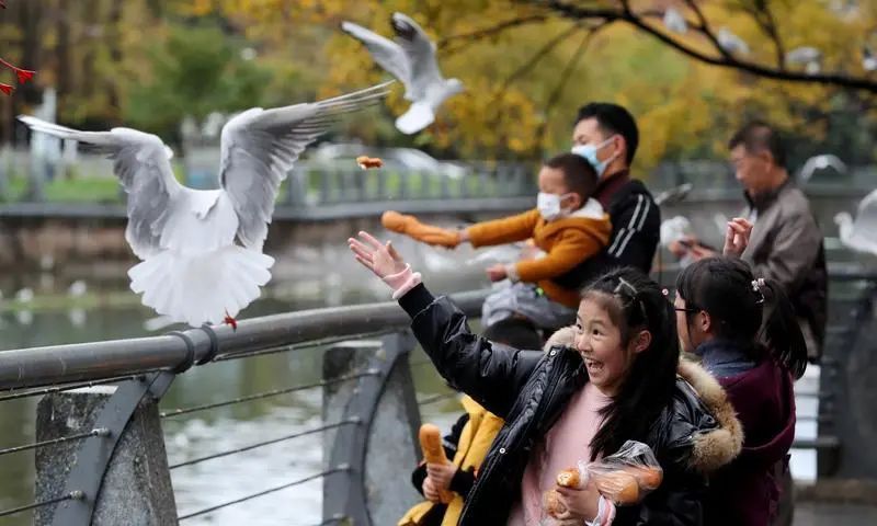 昆明发布