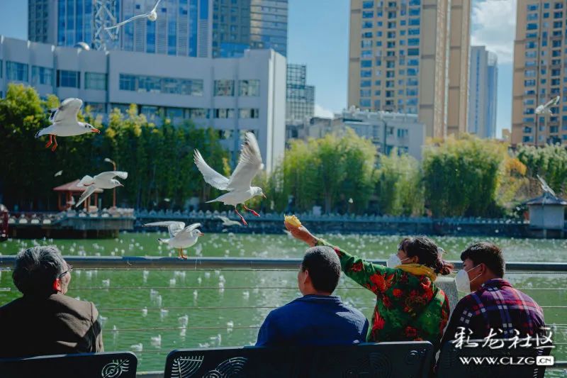 昆明信息港/cnkmxxg