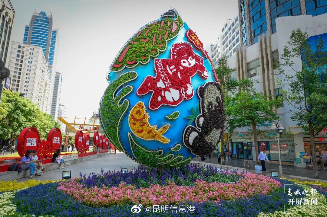 昆明信息港