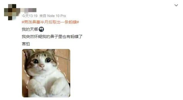 春城晚报