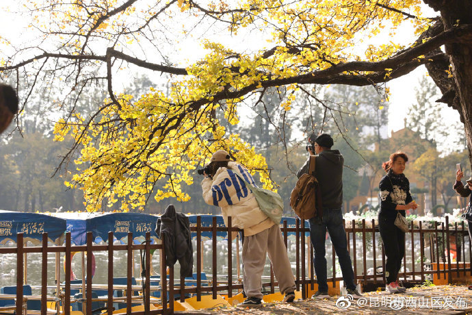 “昆明市西山区发布”微博