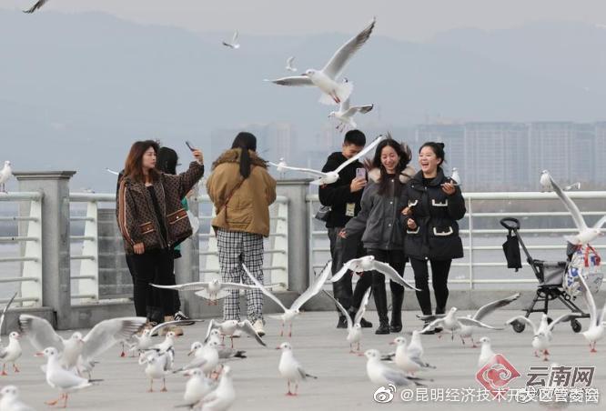 “昆明经济技术开发区管委会”微博