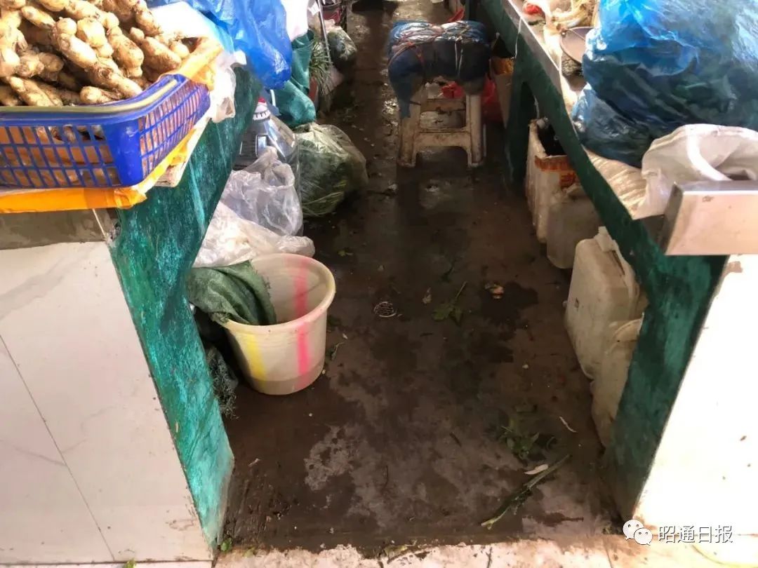 昭通日报