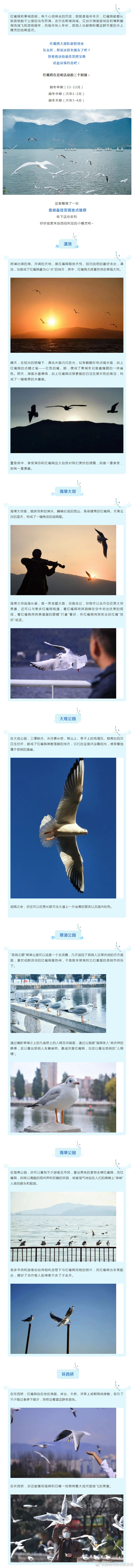 “昆明市西山区发布”微博