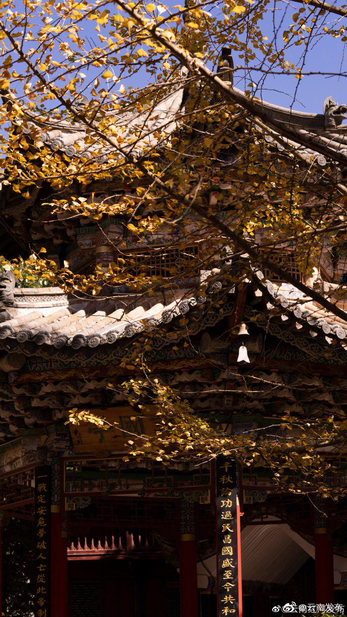 “云南发布”微博