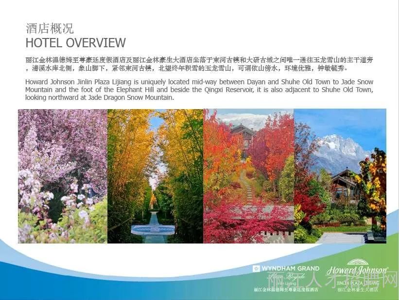 丽江就业