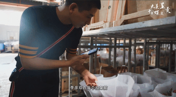 呈贡发布